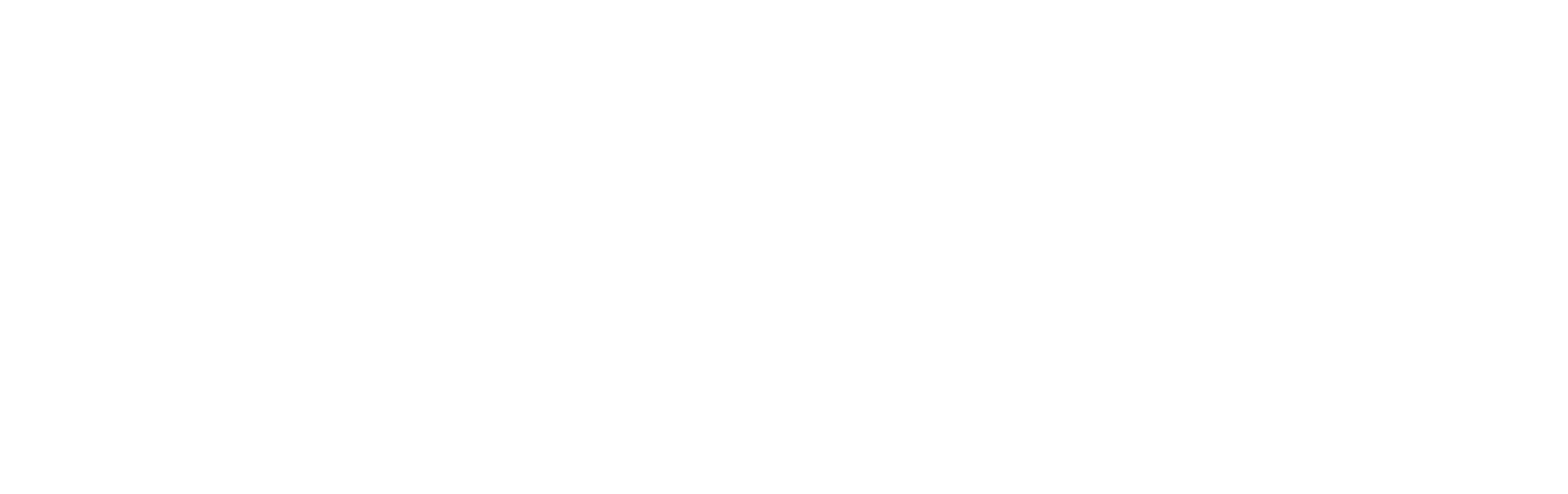 TWNZ Systems